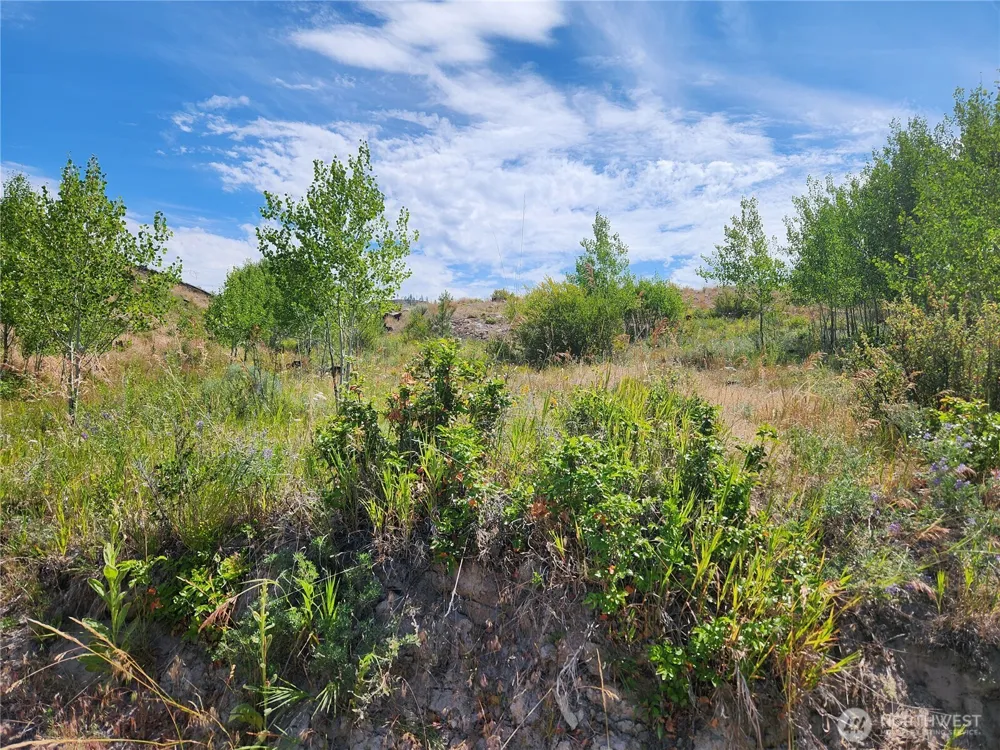 94 Allen Drive Oroville, WA 98859