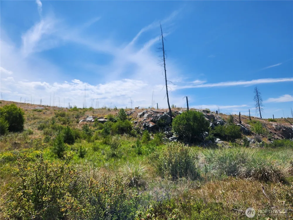 94 Allen Drive Oroville, WA 98859
