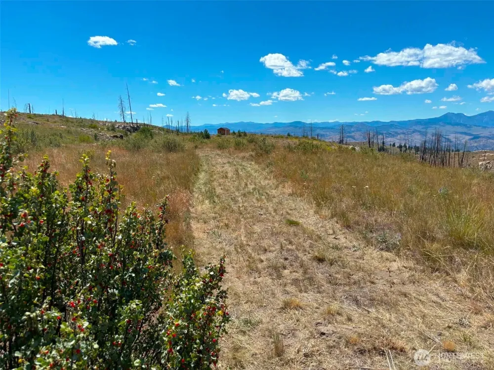 94 Allen Drive Oroville, WA 98859