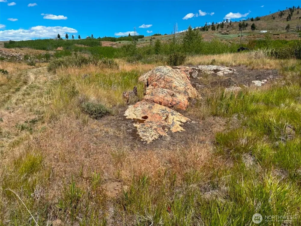 94 Allen Drive Oroville, WA 98859