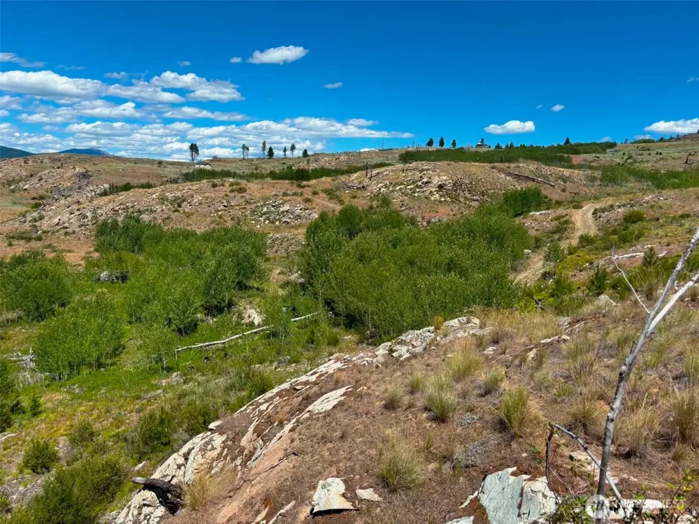 94 Allen Drive Oroville, WA 98859