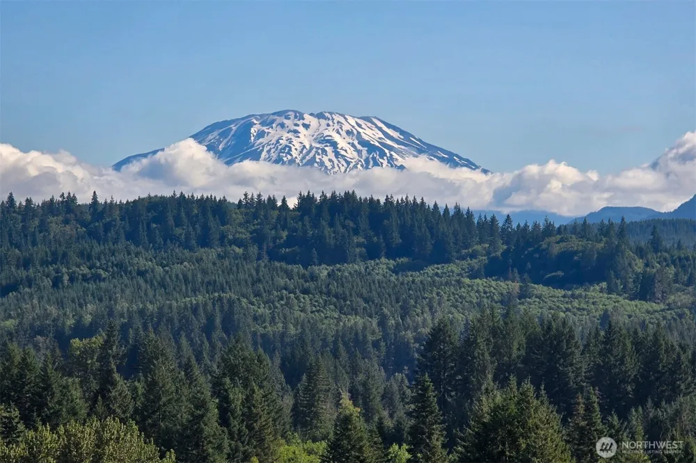 24810 W Humphrey Street Yacolt, WA 98675