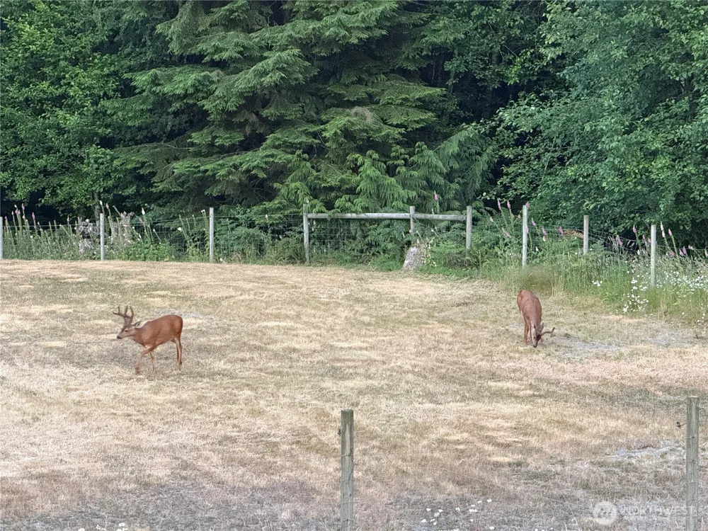 11234 Wicks Lake Road SW Port Orchard, WA 98367