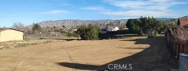 Cholla Hesperia, CA 92345