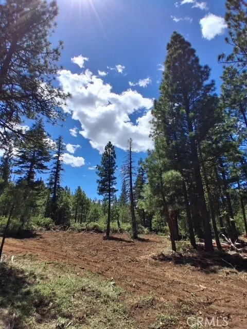 Quartz Lane