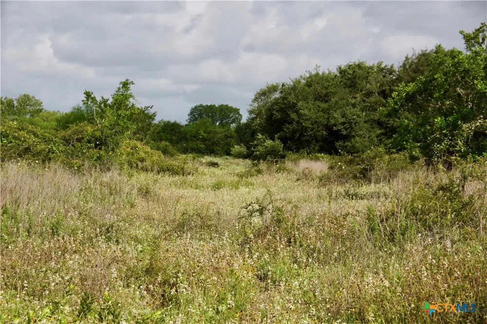 Briggs Boulevard Victoria, TX 77904