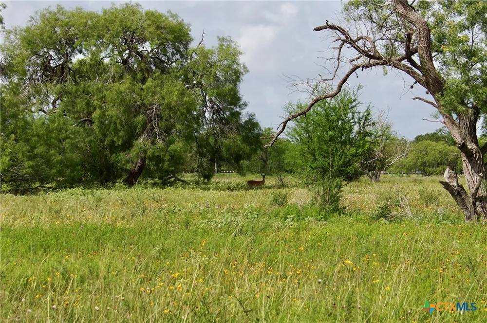 Briggs Boulevard Victoria, TX 77904