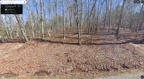 297 Crabtree Hollow Rd