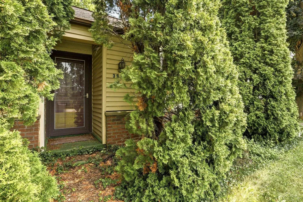 3978 Michigan Avenue Carrollton Township, MI 48604