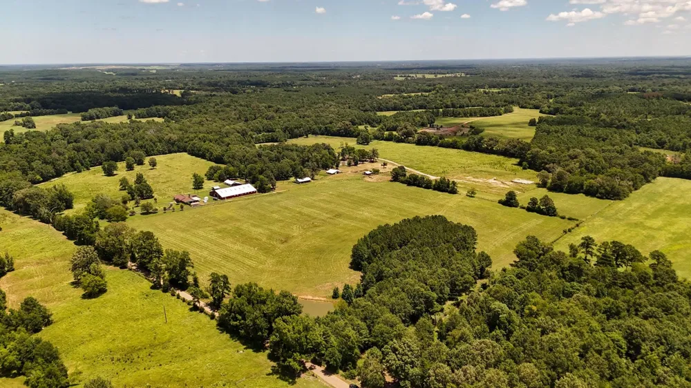 County Road 235 Beckville, TX 75631