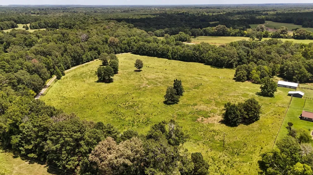 County Road 235 Beckville, TX 75631