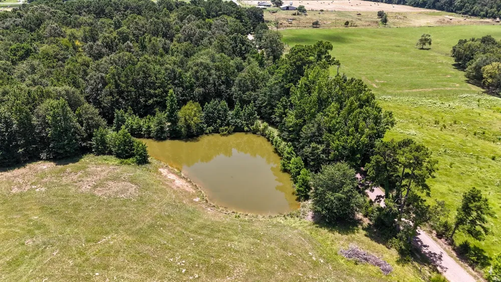 County Road 235 Beckville, TX 75631