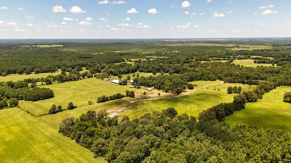 County Road 235 Beckville, TX 75631