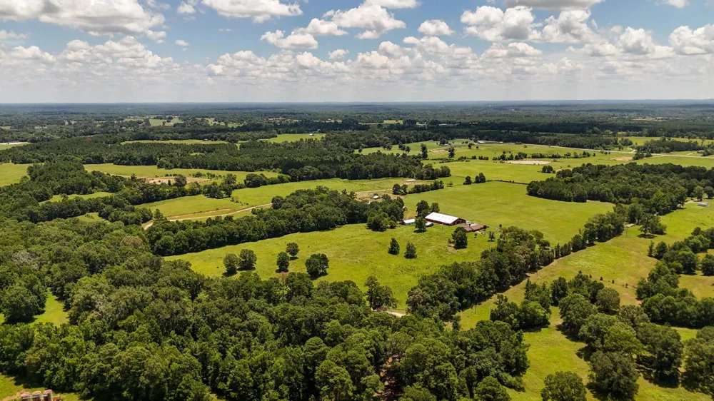 County Road 235 Beckville, TX 75631