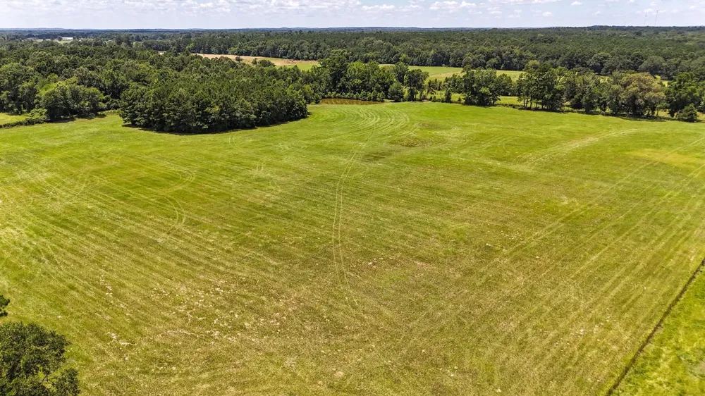 County Road 235 Beckville, TX 75631