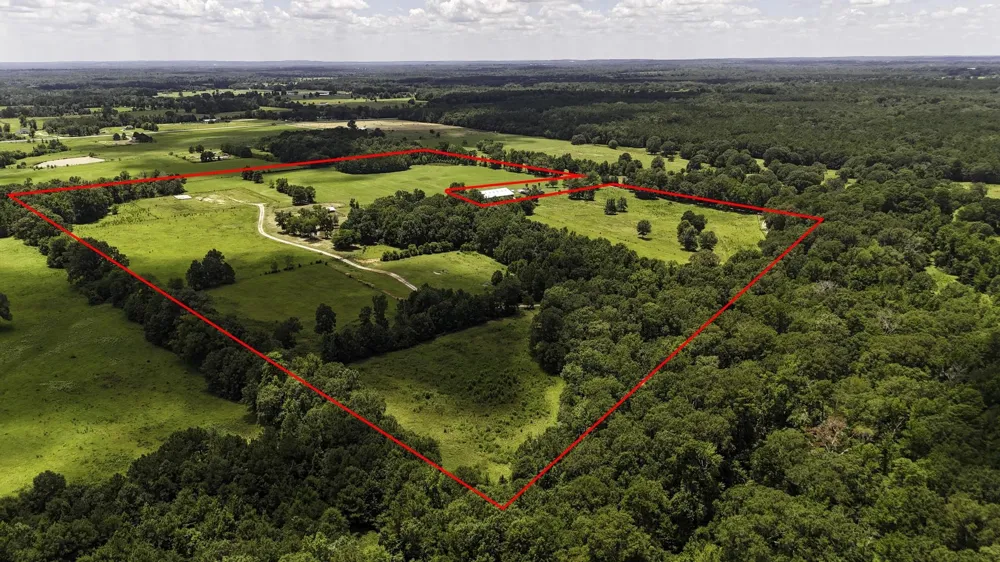 County Road 235 Beckville, TX 75631