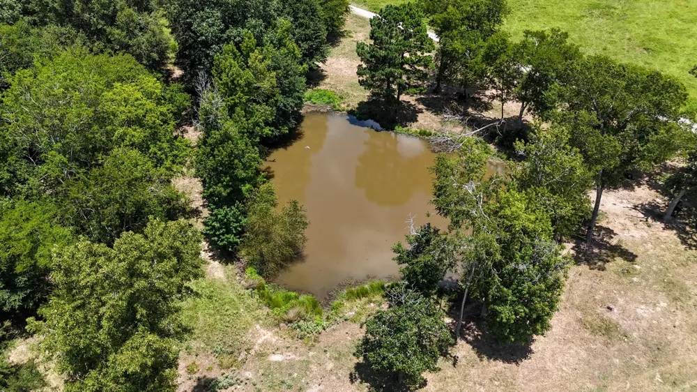 County Road 235 Beckville, TX 75631
