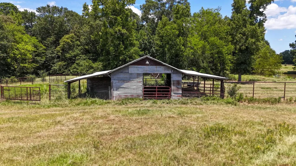 County Road 235 Beckville, TX 75631