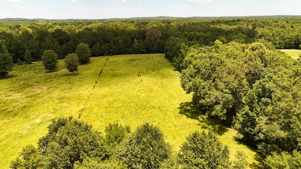 County Road 235 Beckville, TX 75631