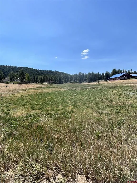 Easy Street Pagosa Springs, CO 81147