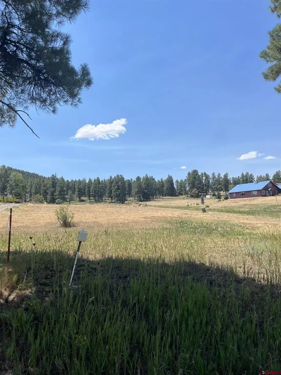 Easy Street Pagosa Springs, CO 81147