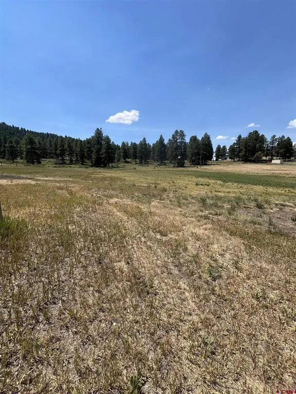 Easy Street Pagosa Springs, CO 81147