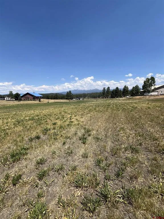 Easy Street Pagosa Springs, CO 81147