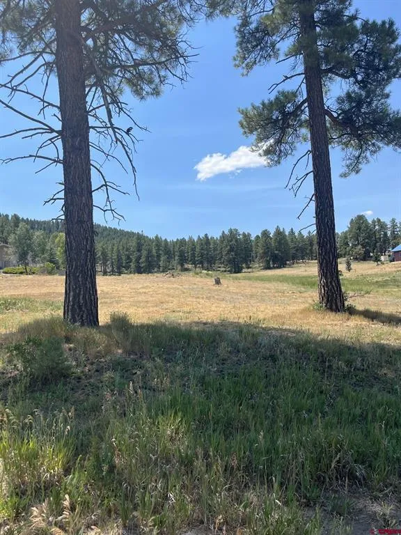 Easy Street Pagosa Springs, CO 81147
