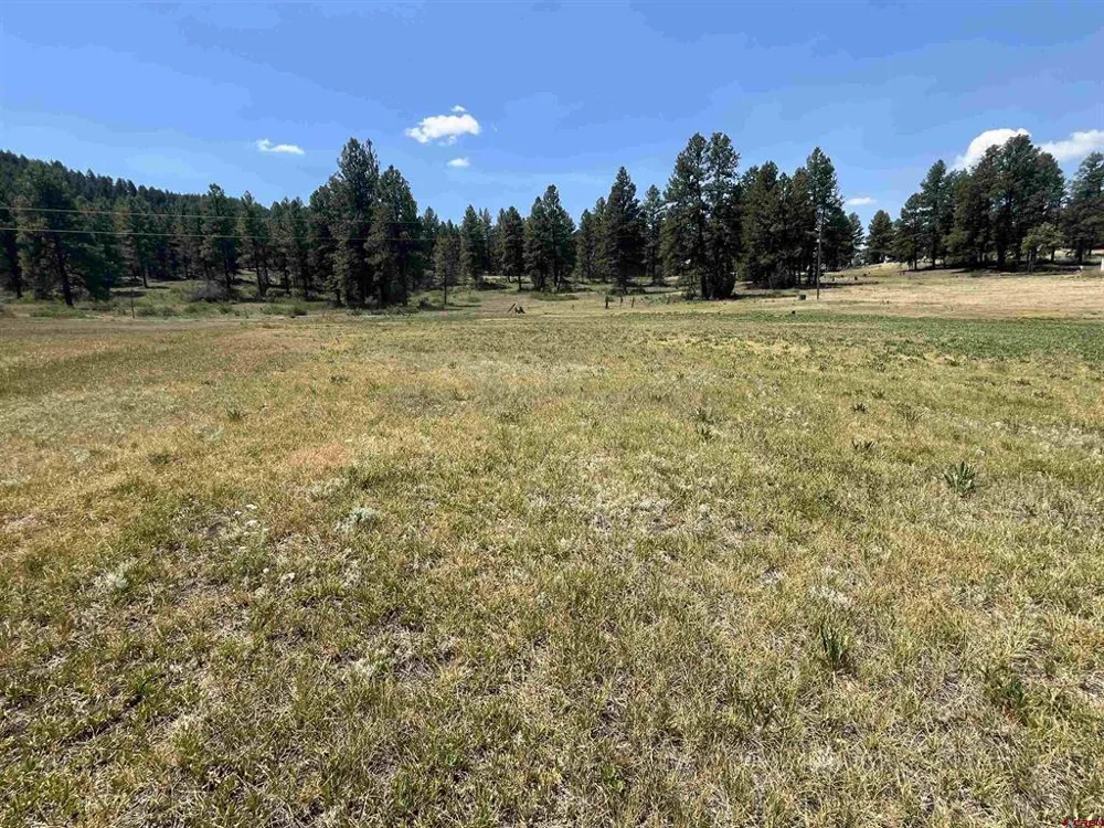 Easy Street Pagosa Springs, CO 81147