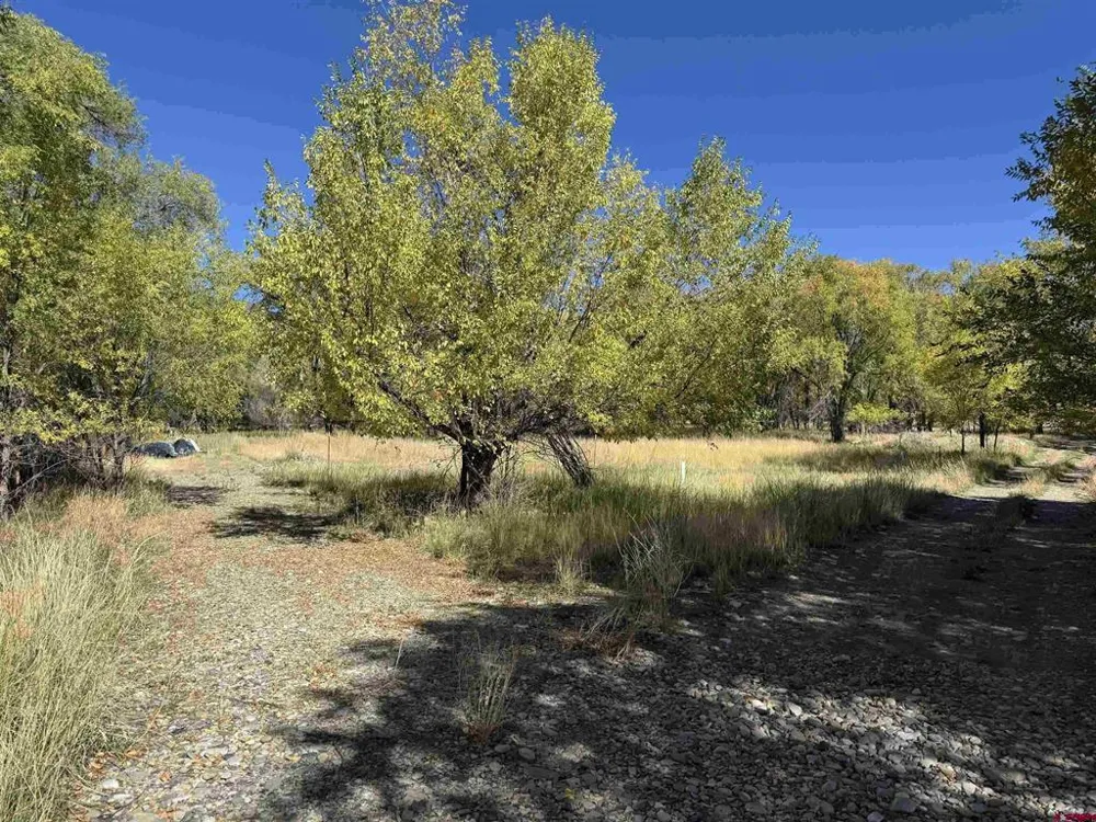 1 Price Road Paonia, CO 81428