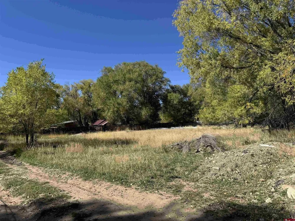 1 Price Road Paonia, CO 81428