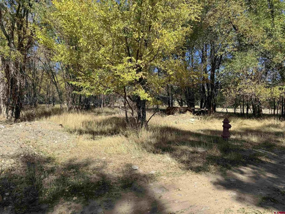 1 Price Road Paonia, CO 81428