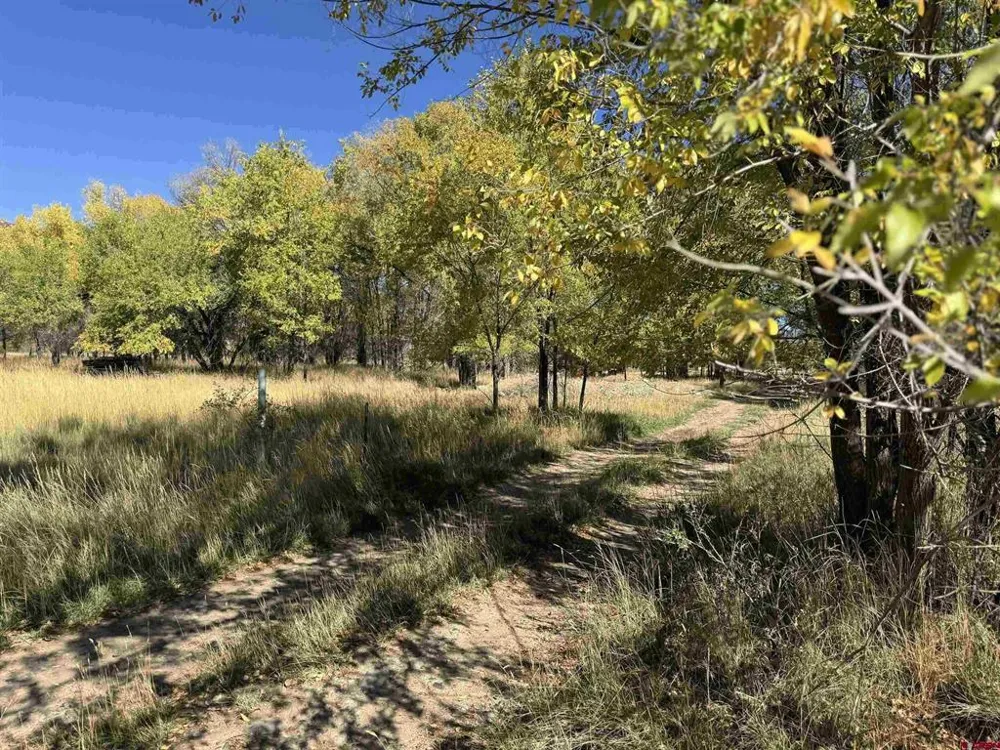1 Price Road Paonia, CO 81428