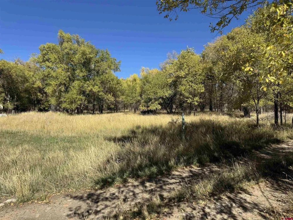 1 Price Road Paonia, CO 81428