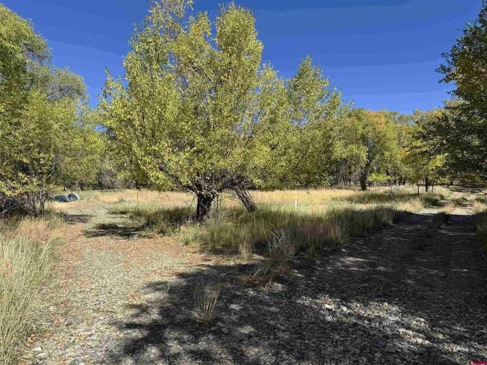 1 Price Road Paonia, CO 81428