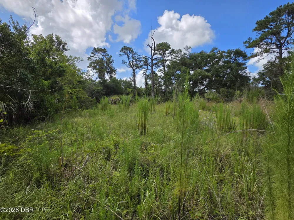 4863 Meadow Green Road Mims, FL 32754