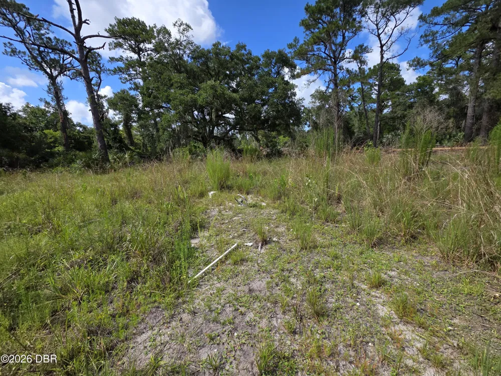 4863 Meadow Green Road Mims, FL 32754