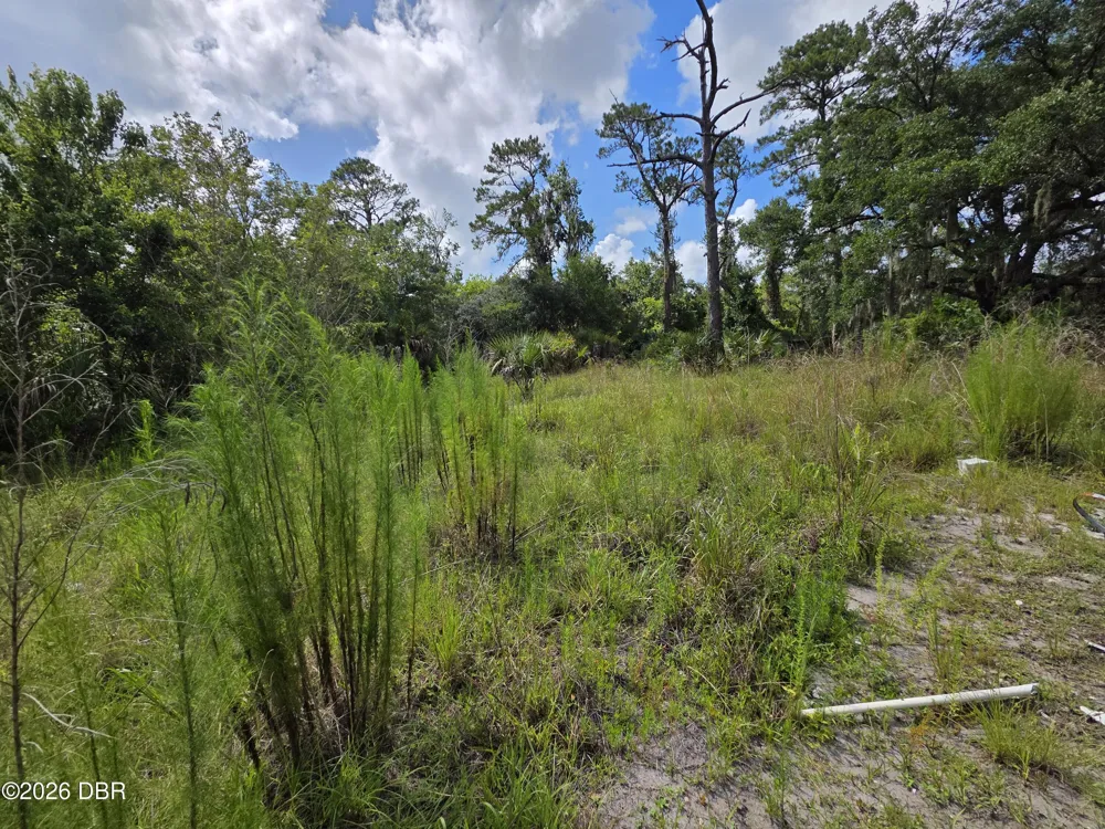 4863 Meadow Green Road Mims, FL 32754