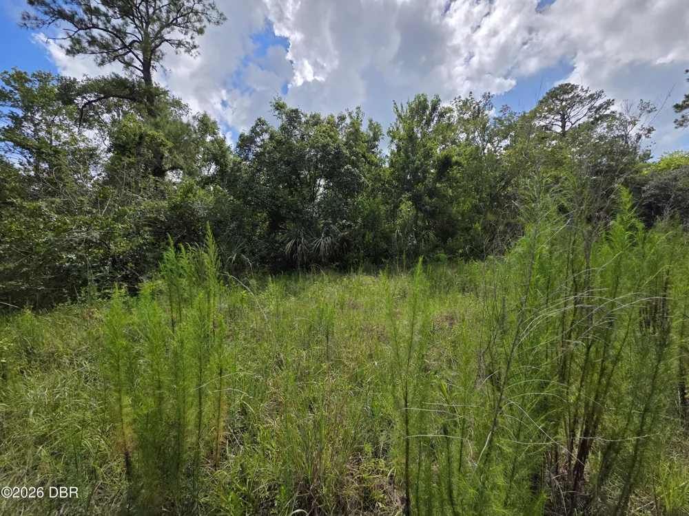 4863 Meadow Green Road Mims, FL 32754