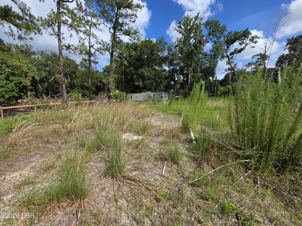 4863 Meadow Green Road Mims, FL 32754
