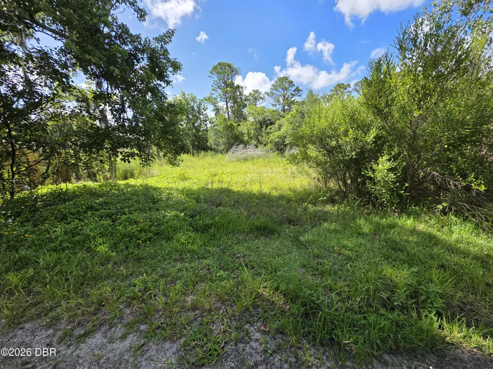 4863 Meadow Green Road Mims, FL 32754
