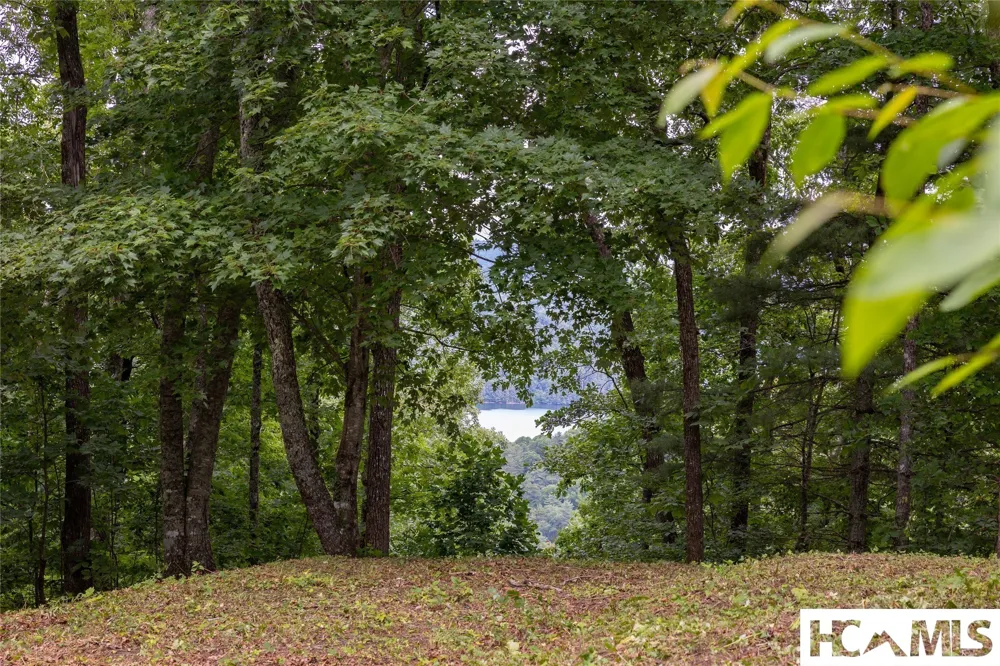 Lot 24 Greycliff Mountain Drive Cullowhee, NC 28723