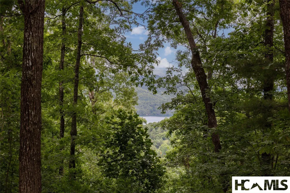Lot 24 Greycliff Mountain Drive Cullowhee, NC 28723