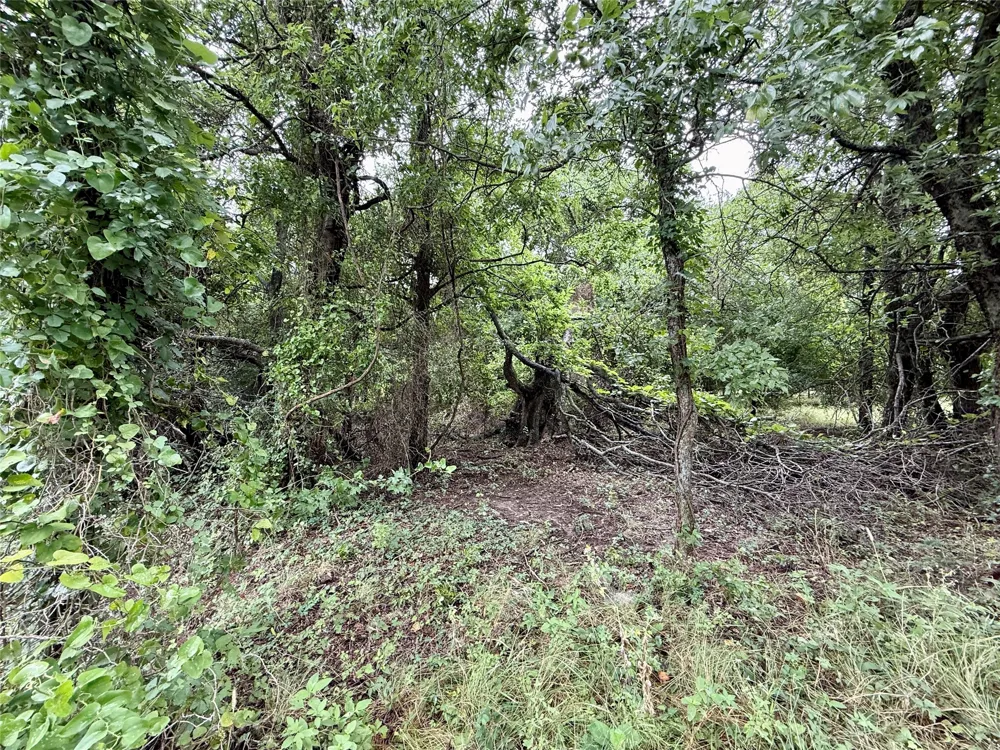 Farm Road #1702 Dublin, TX 76446