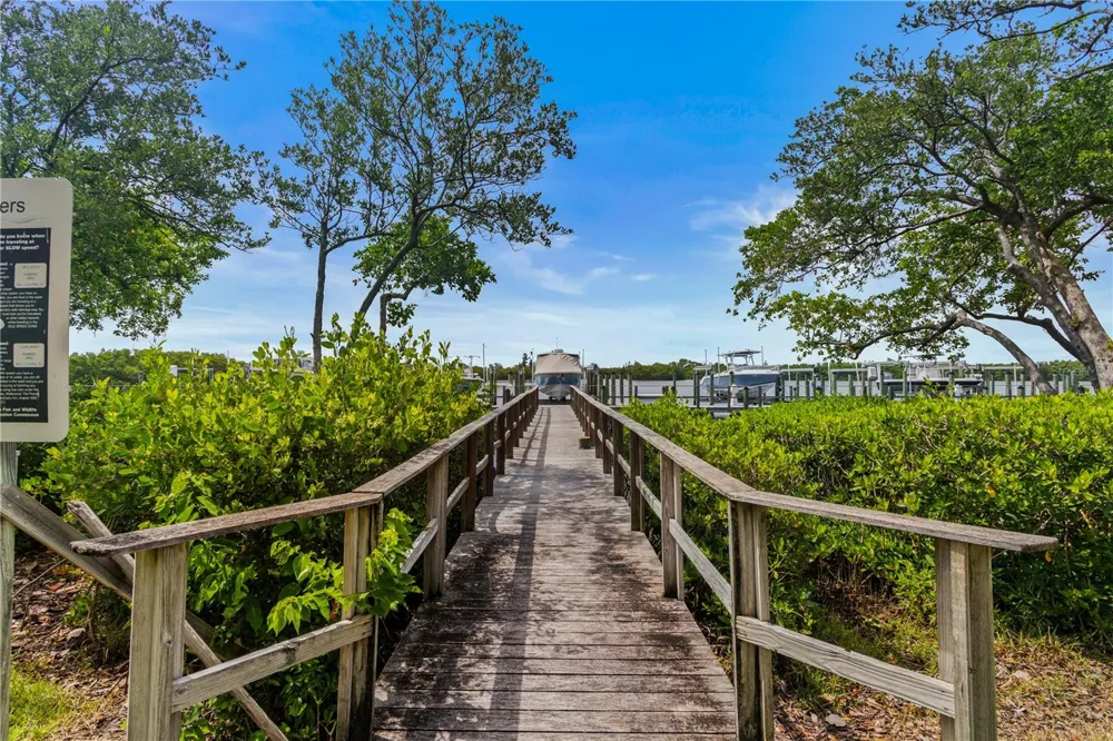 1008 PASEO DEL RIO NE St Petersburg, FL 33702