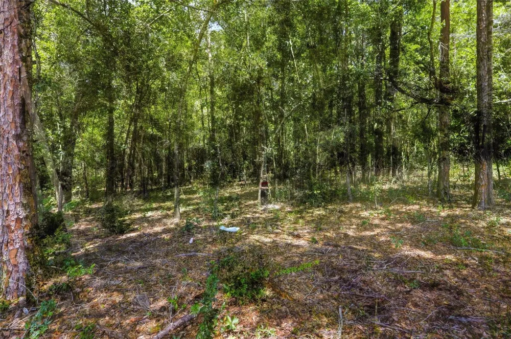 CENTENNIAL ROAD Dade City, FL 33525
