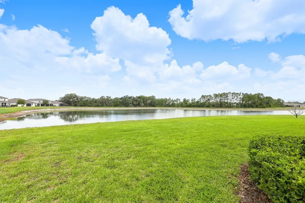 10708 PLANER PICKET DRIVE Riverview, FL 33569