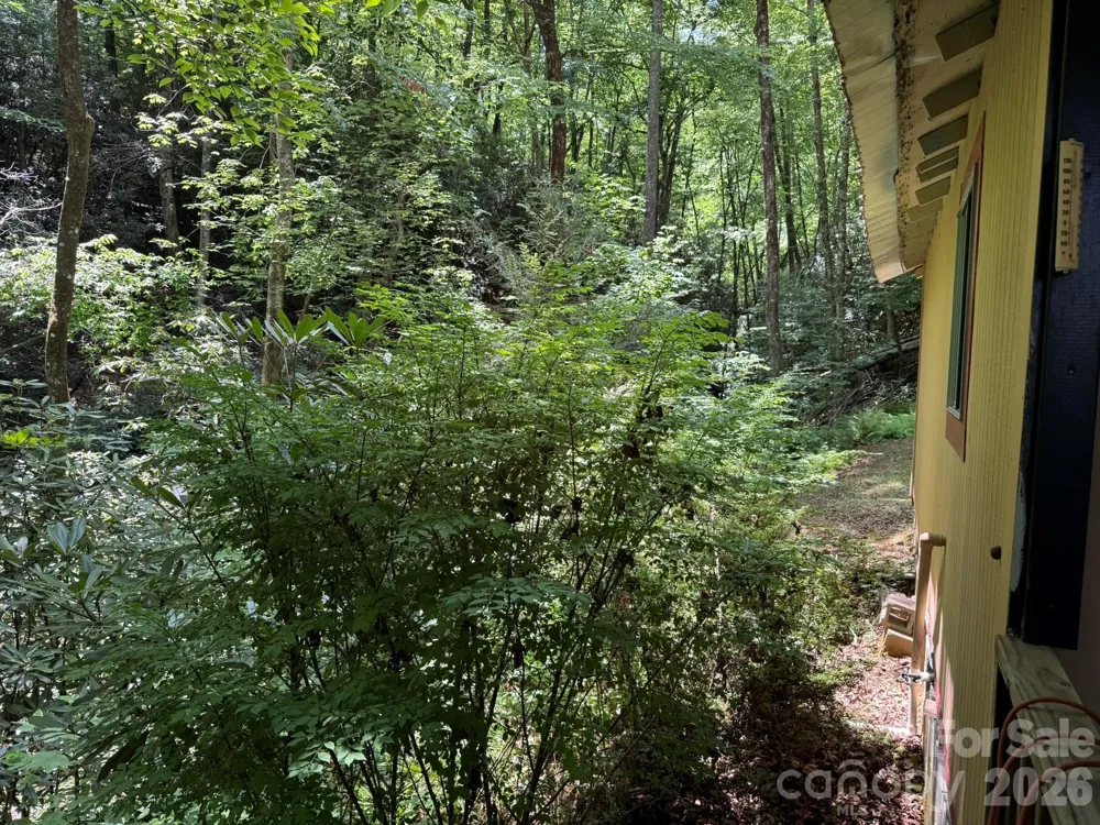 181 Lyman Lane Rosman, NC 28772