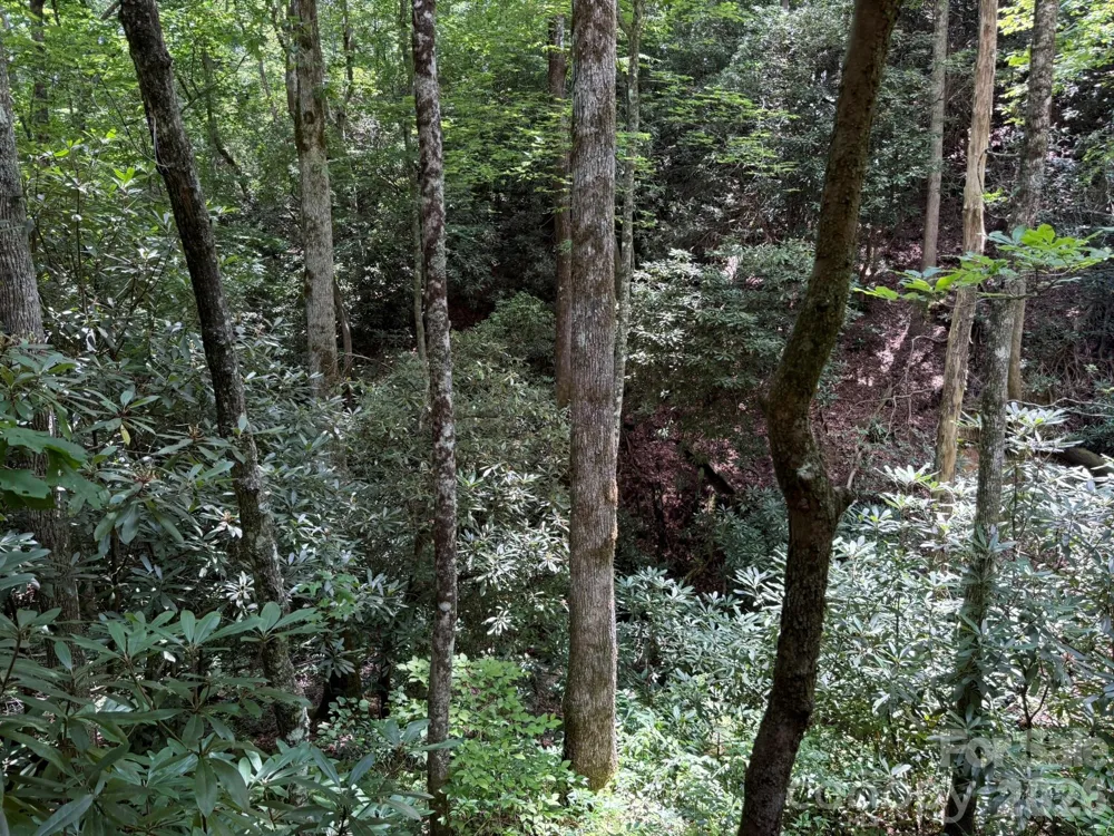 181 Lyman Lane Rosman, NC 28772