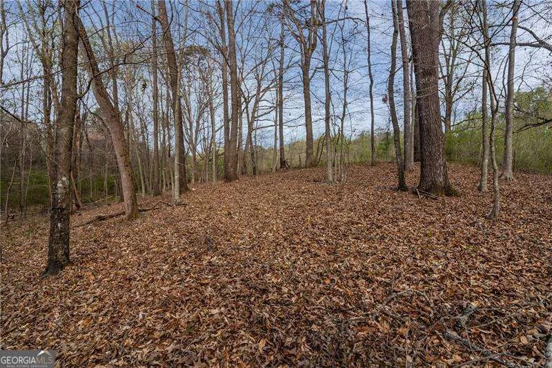342 Jesse Martin TRL Canton, GA 30115